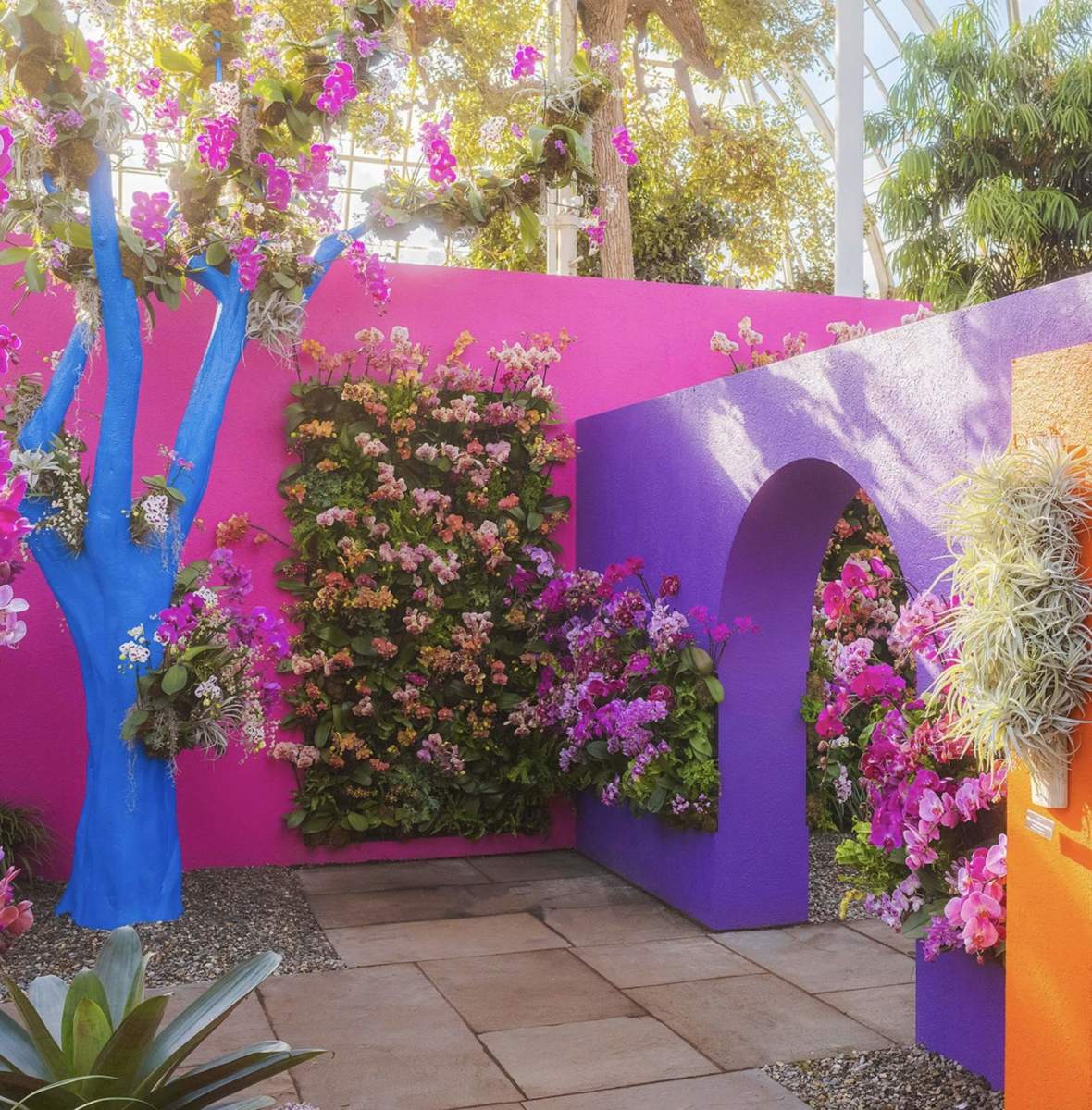 botanical garden